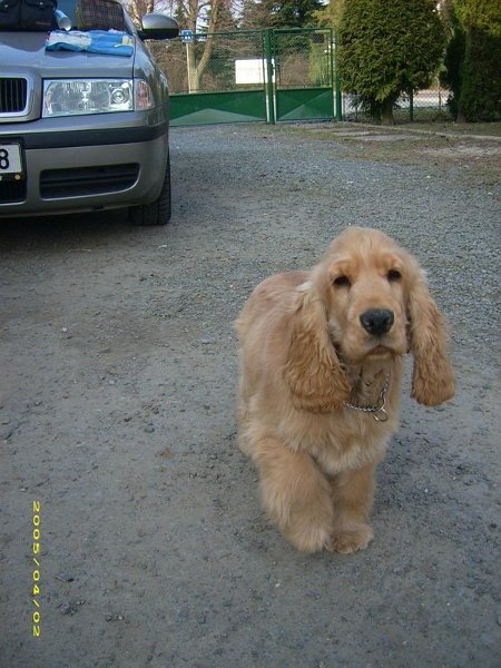 U Ježdíků (3).JPG